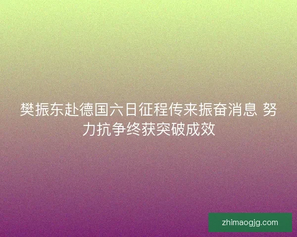 樊振东赴德国六日征程传来振奋消息 努力抗争终获突破成效