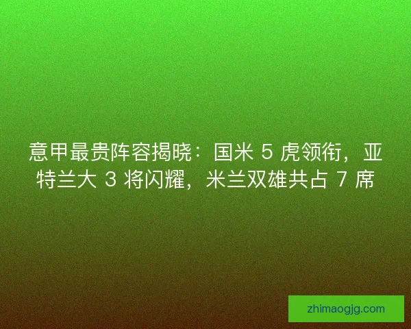 意甲最贵阵容揭晓：国米 5 虎领衔，亚特兰大 3 将闪耀，米兰双雄共占 7 席